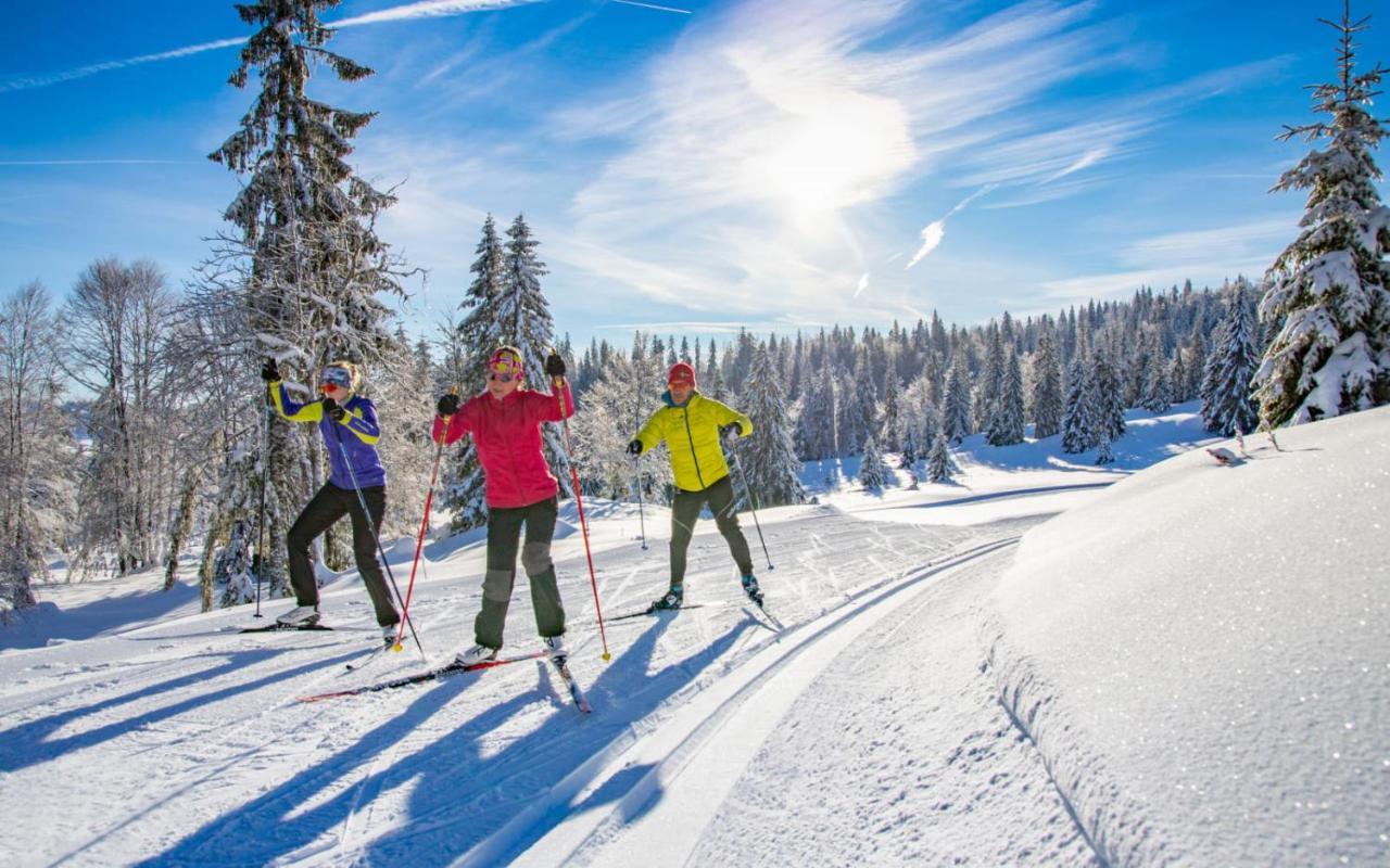 Gite Avec Terrasse Et Belle Vue - Chaletnelda Com Lamoura Dış mekan fotoğraf