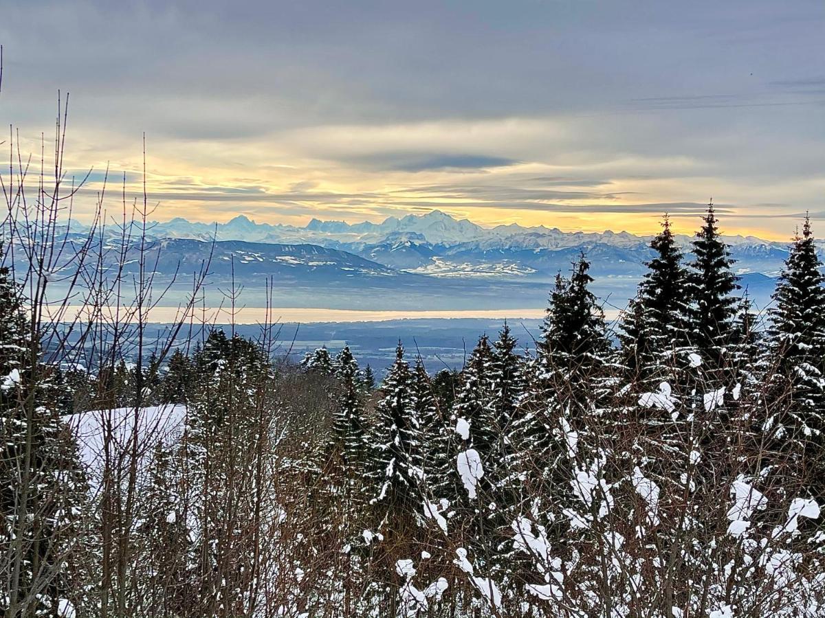 Gite Avec Terrasse Et Belle Vue - Chaletnelda Com Lamoura Dış mekan fotoğraf